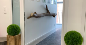 Général: - Cabinet, centre, clinique, hôpital, Bulle, la Tour de Trême, Riaz, le Pasquier, Vaulruz, Vuadens, Gruyère, Fribourg, Suisse, Romand, Romandie,  FSO, SVO, Swiss osteo, label, qualité, remboursement, assurance, RNE, ASCA,  - Écoute, empathie, sympathie, sympatique, simpatique, cool, gentil, généreux, heureux, joie, santé, ambiance, équipe, super, amical, compétant, compétence, professionnel,   Florian: - Florian Walzinger,  - enseignant, chargé de cours, prof, professeur, HES, HEdS, haute école de santé, fribourg, viscéral, digestion, digestif, école suisse d’ostéopathie - Basket, basketball, Elfic, Olympic, équipe suisse de basket, - Béjart ballet, danseur,  - Sortir, sport, haut niveau, compétition, national, équipe, - Sommato émotionnel, sommato-émotionnel, -     Osteo: - Osteo, Osthéna, Osteopathe, Ostéopathie, osteopate, osteopatie, chiropraxies, thérapie,  - lumbago, lombalgie, sciatique,  - gynécologie, gyneco, urinaire, cystite, cistite, rein, ovaire, kyste, kiste, règle douloureuse, saignement, dyspareunie, polykystique, polikistique, périnée, plancher pelvien, - ORL, sinusite, ronflement, otite, angine, - Perte de voix - Colique, crampes au ventre, gastrite, brûlure d’estomac, hernie hyatale, chrone, dysbiose, CIBO, rectocolite, constipation, diarrhée, hémorroïdes, ptôse, varices, lourdeurs,  - dent, dentaire, orthodontie, appareil dentaire, dentiste,  - manipulation, viscérale, faciale, fasciale, structurel,structurelle, crâne, crane, crânien, mrp, motilité, mobilité, mobilisation, mobiliser, fonctionnel, fonctionnelle, fonctionnement, dysfonction,  - structure, fonction, auto guérison, holistique,  - Confiance, confidence, secret médical, - os, articulation, crac, craque, craquer,  - Douleur, mal, electrique, brûlure, coup de couteau,  - Migraine, céphalées, maux de tête,  - Cervicalgies, cervicale, dos, dorsalgie, limbe, lombaire, lombalgie, lombago, lumbago, sacrum, sacralise, coccyx,  - Hernie,  - Psoas, psoïte, trapèze, trapezalgie,   Acuponcture:  Massage:  Naturopathe:  Nutritionniste:  