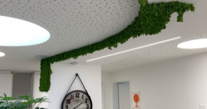 Général: - Cabinet, centre, clinique, hôpital, Bulle, la Tour de Trême, Riaz, le Pasquier, Vaulruz, Vuadens, Gruyère, Fribourg, Suisse, Romand, Romandie,  FSO, SVO, Swiss osteo, label, qualité, remboursement, assurance, RNE, ASCA,  - Écoute, empathie, sympathie, sympatique, simpatique, cool, gentil, généreux, heureux, joie, santé, ambiance, équipe, super, amical, compétant, compétence, professionnel,   Florian: - Florian Walzinger,  - enseignant, chargé de cours, prof, professeur, HES, HEdS, haute école de santé, fribourg, viscéral, digestion, digestif, école suisse d’ostéopathie - Basket, basketball, Elfic, Olympic, équipe suisse de basket, - Béjart ballet, danseur,  - Sortir, sport, haut niveau, compétition, national, équipe, - Sommato émotionnel, sommato-émotionnel, -     Osteo: - Osteo, Osthéna, Osteopathe, Ostéopathie, osteopate, osteopatie, chiropraxies, thérapie,  - lumbago, lombalgie, sciatique,  - gynécologie, gyneco, urinaire, cystite, cistite, rein, ovaire, kyste, kiste, règle douloureuse, saignement, dyspareunie, polykystique, polikistique, périnée, plancher pelvien, - ORL, sinusite, ronflement, otite, angine, - Perte de voix - Colique, crampes au ventre, gastrite, brûlure d’estomac, hernie hyatale, chrone, dysbiose, CIBO, rectocolite, constipation, diarrhée, hémorroïdes, ptôse, varices, lourdeurs,  - dent, dentaire, orthodontie, appareil dentaire, dentiste,  - manipulation, viscérale, faciale, fasciale, structurel,structurelle, crâne, crane, crânien, mrp, motilité, mobilité, mobilisation, mobiliser, fonctionnel, fonctionnelle, fonctionnement, dysfonction,  - structure, fonction, auto guérison, holistique,  - Confiance, confidence, secret médical, - os, articulation, crac, craque, craquer,  - Douleur, mal, electrique, brûlure, coup de couteau,  - Migraine, céphalées, maux de tête,  - Cervicalgies, cervicale, dos, dorsalgie, limbe, lombaire, lombalgie, lombago, lumbago, sacrum, sacralise, coccyx,  - Hernie,  - Psoas, psoïte, trapèze, trapezalgie,   Acuponcture:  Massage:  Naturopathe:  Nutritionniste:  